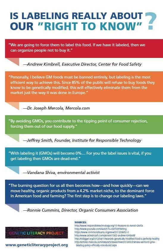 genetically modified foods cause autism essay A summary of the 65 health risks presented in genetic roulette by jeffrey smith the documented health risks of genetically engineered foods section 1: autism. genetically modified foods cause autism essay A summary of the 65 health risks presented in genetic roulette by jeffrey smith the documented health risks of genetically engineered foods section 1: autism.