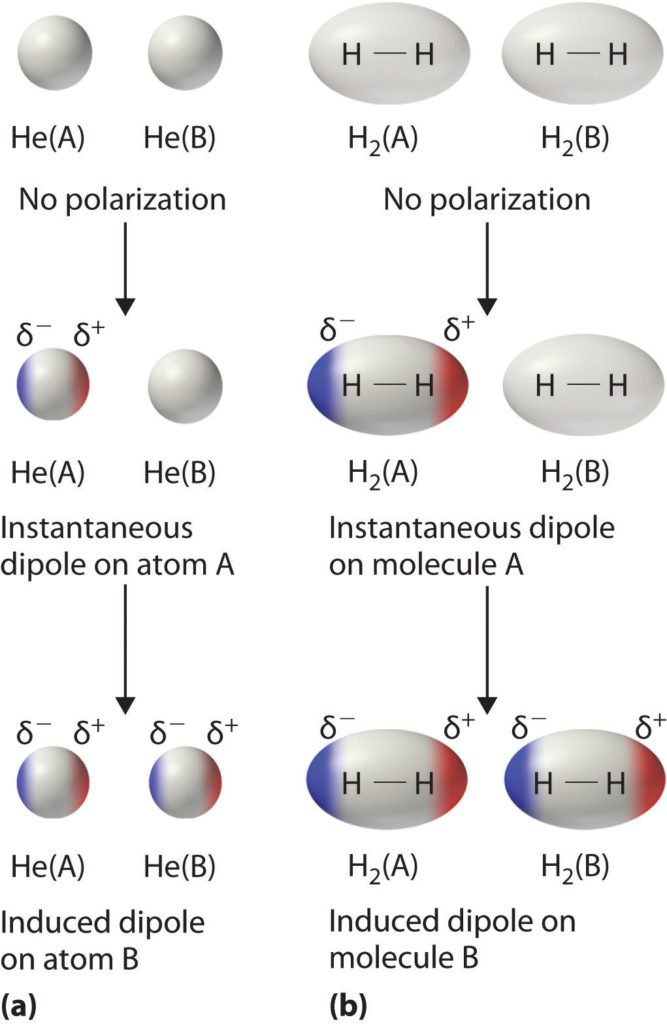 Van der Waals (London Dispersion) Forces The Credible Hulk Van der Waals (London Dispersion) Forces The Credible Hulk